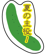 Y-12